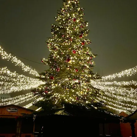 Heimathafen * Λίμπεκ